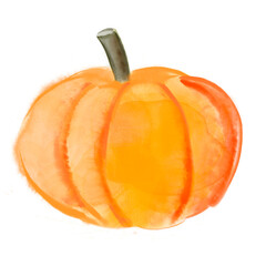 Watercolor drawing orange pumpkin isolated on white