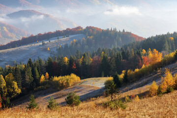 Beautiful autumn scenery. Landscape with amazing mountains, fields and forests covered with morning fog. The lawn is enlightened by the sun rays. Touristic place Carpathians, Ukraine, Europe.