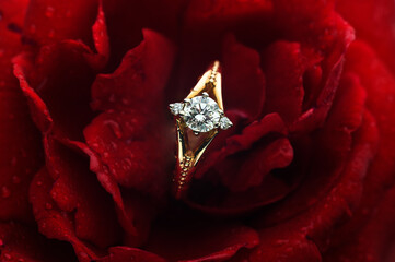 diamond ring on a red rose background