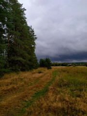 Fototapeta na wymiar Field road along the forest, against a stormy sky. Before the rain.