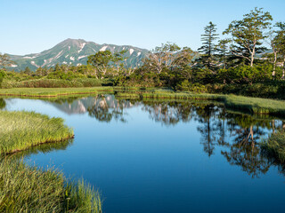 夏山 湿原 登山 青空