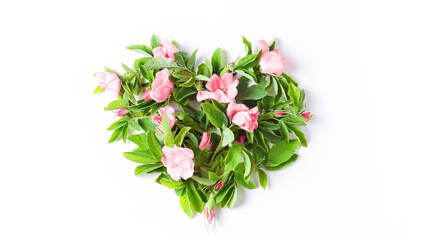 heart shape made from fresh flowers and rose leaves. minimalistic natural composition on white background. flat lay, top view