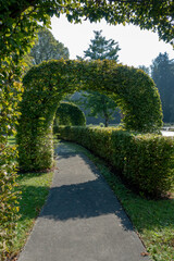 Fototapeta premium Linden im Park