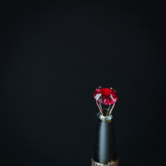 Red round gemstone clamped on top, silver metal clamp with long handle, black back ground.