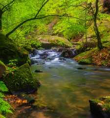 waterfall in the forest