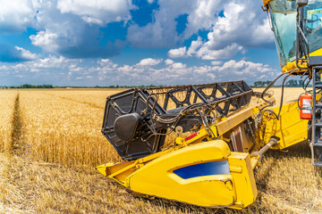 Combine harvester in action on wheat field. Process of gathering ripe crop from the fields. Agricultural technic in field. Heavy machinery in action.