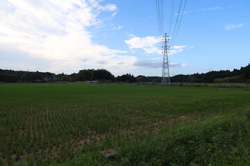 田舎の風景