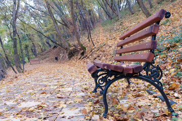 bench in autumn park