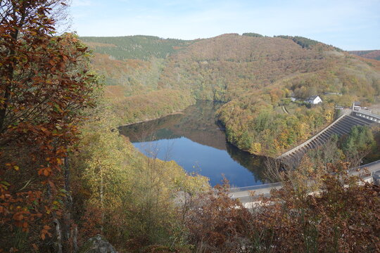 Talsperre umrandet von herbstlichem Wald. Staudamm namens "Urfttalsperre" neben Vogelsang, Deutschland.