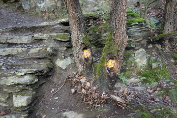 Zwei kleine gemalte Zwergengesichter in zwei Baumlöchern.