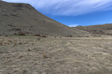 New Zealand southern island landscape 