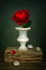 Fototapeta premium Red rose in a white marble vase and snail shells on a wooden block. Still life.