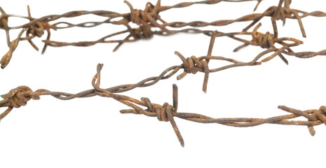  Rusty barbed wire isolated on a white background