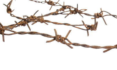  Rusty barbed wire isolated on a white background