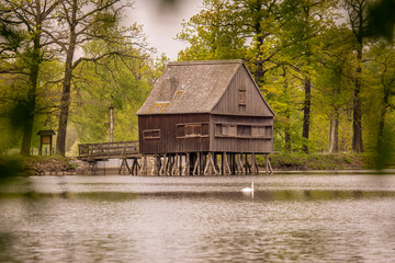 stilt house with wooden shingle coverved roof, surrounded by deciduous forest, Pond in Thuringia,...