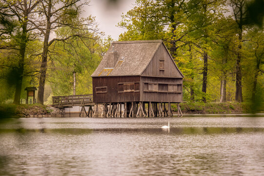 stilt house with wooden shingle coverved roof, surrounded by deciduous forest, Pond in Thuringia, Germany