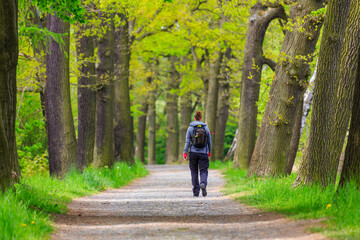 Single woman is hiking trough old deciduous forest, Thuringia, Germany