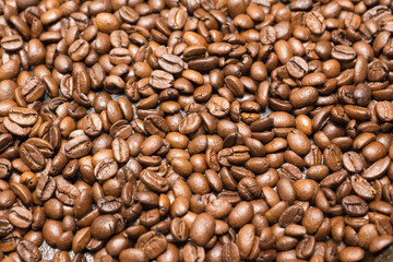 freshly roasted coffee beans