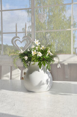  A bouquet of wood anemones