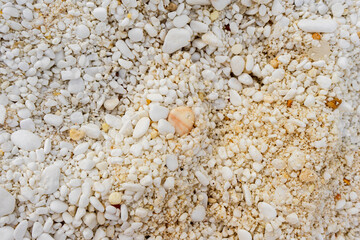 White and yellow stones