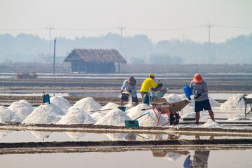 Farmers are building salt evaporation ponds, into a sea salt pile pyramid Concept of sea salt farming in Samut Sakhon, Thailand.