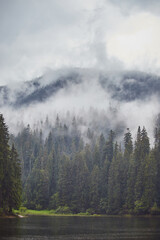 Fototapeta premium Mountain Lake Synevir in the rainy foggy summer day in Carpathian, Ukraine. Beautiful nature scenery outdoors. Coniferous forest with tall trees on the shore