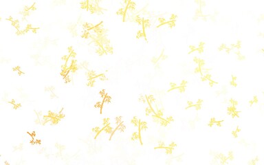 Light Orange vector elegant background with branches.