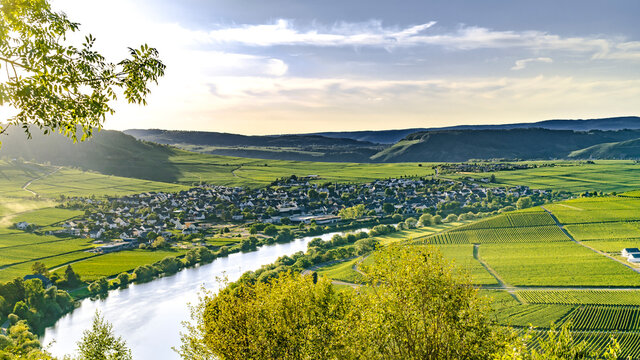 Beautiful moselle valley