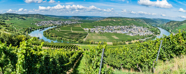 Panorama from moselle valley