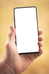 Smartphone with blank screen