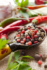Peppercorn mix in wooden spoon, herbs and spices