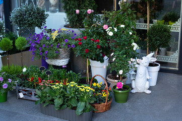 Fototapeta na wymiar Green Plants in pots placed on table in street flower shop. Shop for houseplants and potted flowers. Street cozy decoration of flowershop. Different potted plants, seedlings near florist shop entrance