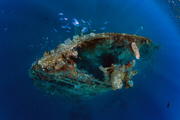 Fototapeta na wymiar Liberty wreck - underwater world of Tulamben, Bali, Indonesia. 