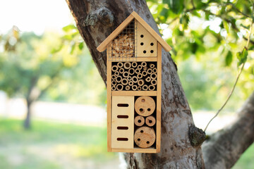 Decorative Insect house with compartments and natural components in a summer garden. Wooden insect...