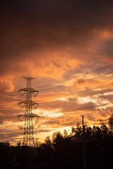 Fototapeta premium power lines at sunset