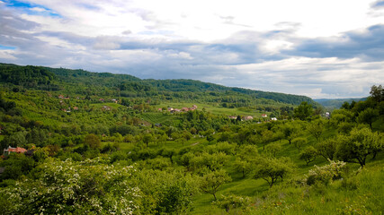 Orchards in a hill, at the outskirts of Campulung Muscel, Romania