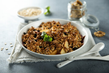 Traditional homemade fruit crumble with oats