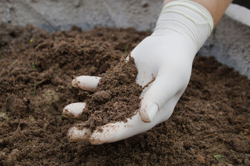 Hand stirring the earth to plant flowers in a pot