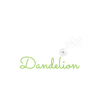 dandelion, vector