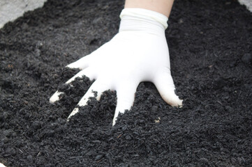 Hand stirring the earth to plant flowers in a pot