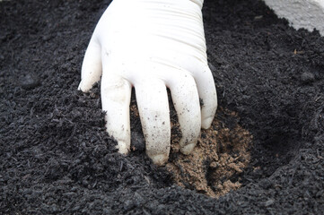 Hand stirring the earth to plant flowers in a pot