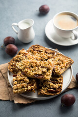 Traditional homemade plum pie with streusel