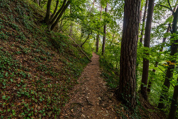 Wonderful autumn hike near Sipplingen and Uberlingen on Lake Constance