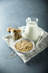 Healthy oats in a white bowl
