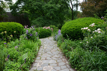 New York, NY, USA - June 5, 2019: Beautiful Shakespeare Garden in Central Park located in Manhatten