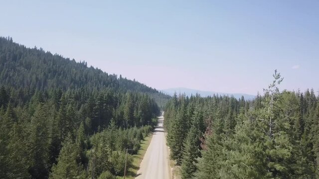 Aerial View Dirt Road with Trees on Both Sides Ascending Moving Forward