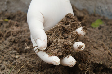 Hand stirring the earth to plant flowers in a pot