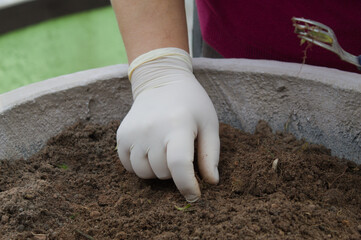 Hand stirring the earth to plant flowers in a pot