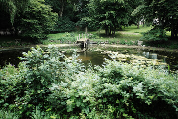 japanese garden pond