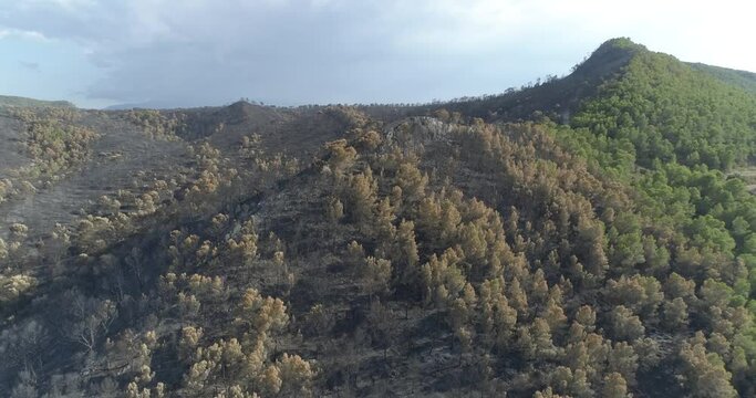 Cima de bosque mediterr&aacute;neo quemado, drone 4k